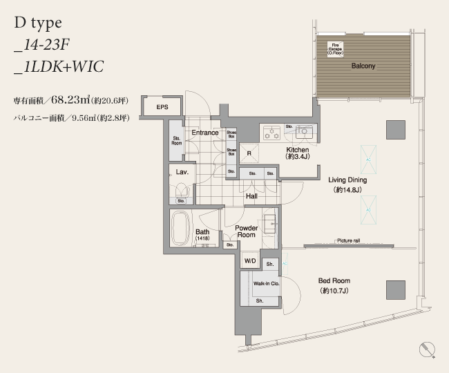 D type